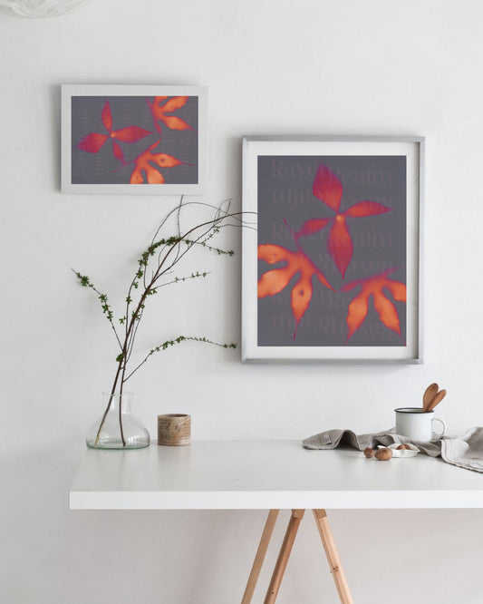 Lumen Leaves Poster: Pink Leaf Photograph, Wall Art